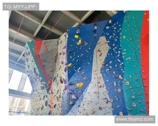 上海攀岩队区域防守策略解析与攀岩热点发展趋势探讨