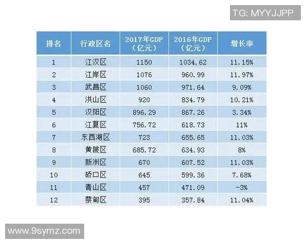 武汉羽毛球队实力分析与表现评估探讨及未来发展方向研究